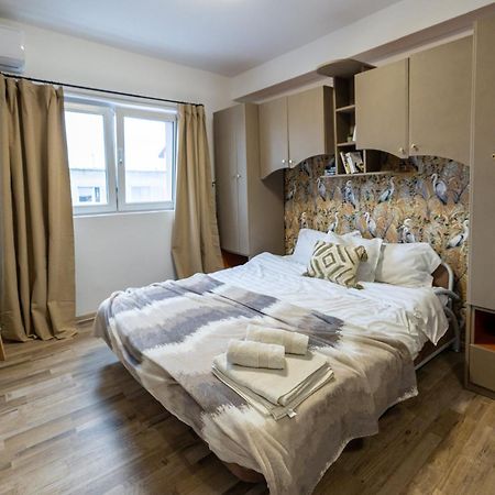 Cozy Studio Retreat - Quiet, Premium Stay تيميشورا المظهر الخارجي الصورة
