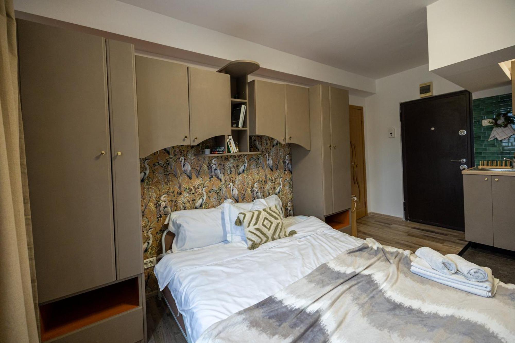 Cozy Studio Retreat - Quiet, Premium Stay تيميشورا المظهر الخارجي الصورة